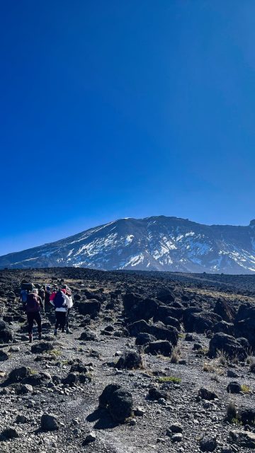 Kilimanjaro - Lemosho
