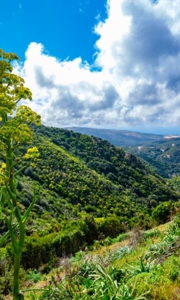 Sardinija za aktivne