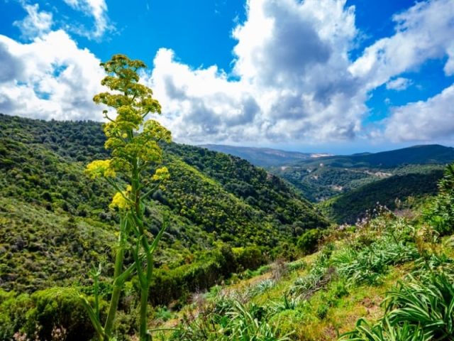 Sardinija za aktivne: Treking po divjem osrčju Sredozemlja